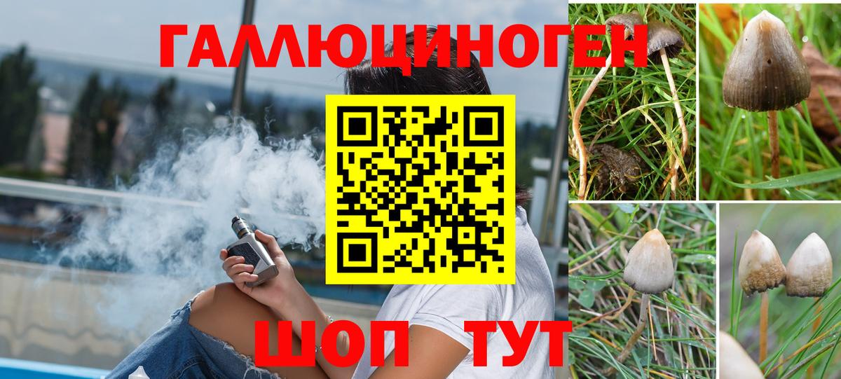 Псилоцибиновые грибы мицелий  Псилоцибиновые грибы Psilocybine cubensis  Карталы  Вход с VPN 