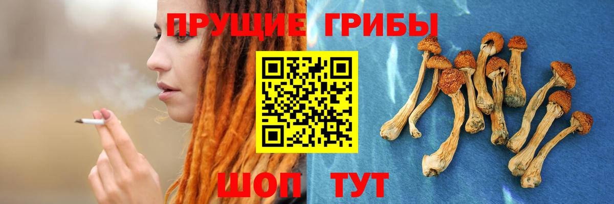 Галлюциногенные грибы мухоморы Карталы